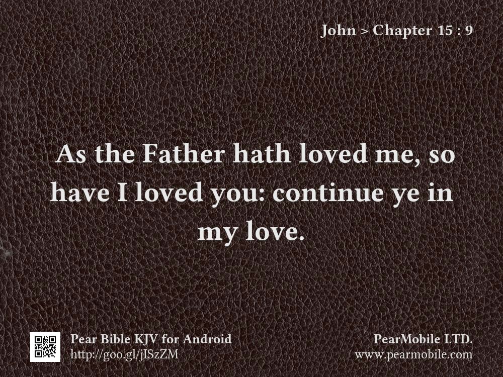 John, Chapter 15:9